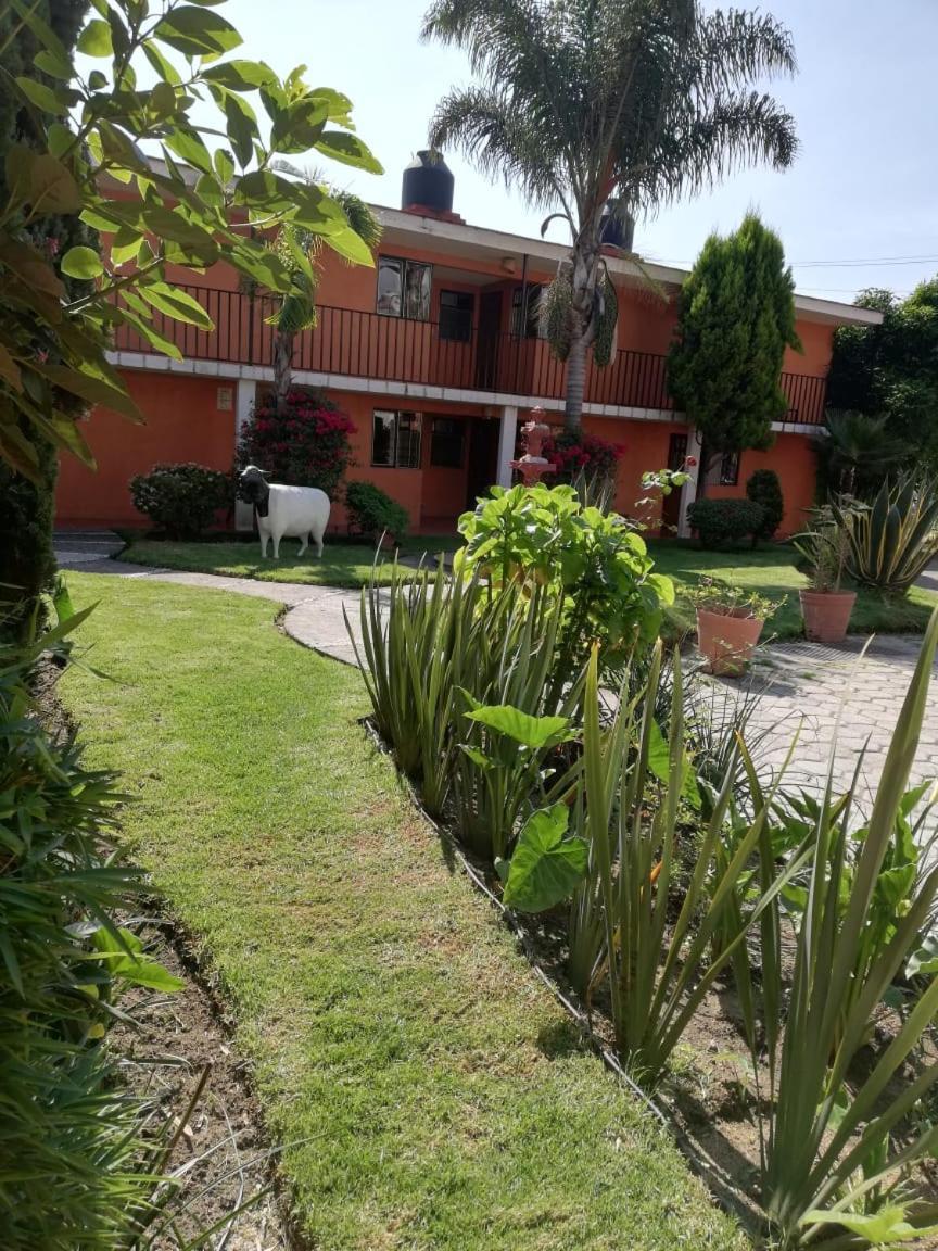 Villas Hotel Cholula Dış mekan fotoğraf